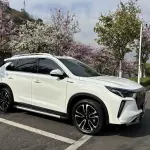 GAC Motor GS4 Plus 2024 из Китая