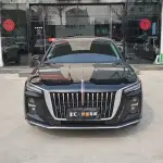 Hongqi Hongqi H5 2024 из Китая