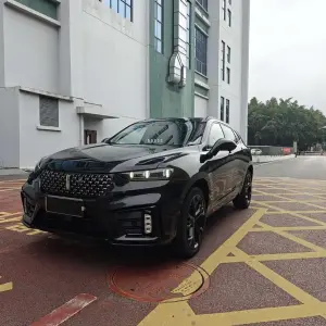 Wey Wey VV7 2020 из Китая