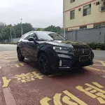 Wey Wey VV7 2020 из Китая
