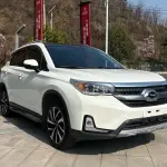 GAC Group GAC NE PHEV 2018 из Китая