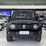 Tank Tank 300 2024 из Китая