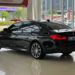 BMW 5 Series 2018 252 л.с. — лот 57832682 из Китая