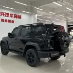 Tank Tank 300 2024 из Китая