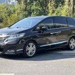 Honda Elysion 2018 186 л.с. 186 л.с. 186 л.с. 186 л.с. 186 л.с. из Китая