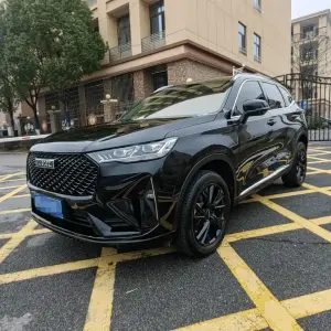 Haval H6 2022 211 л.с. 211 л.с. 211 л.с. из Китая