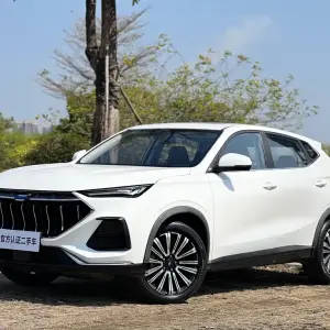 Oshan Oushang X5 2020 из Китая