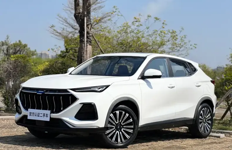 Oshan Oushang X5 2020 из Китая
