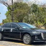 Hongqi Hongqi H5 2023 из Китая