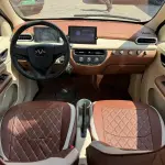 FERRAL EV 2022 из Китая
