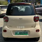 FERRAL EV 2022 из Китая