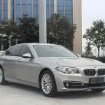 BMW 5 Series 2015 218 л.с. 218 л.с. 218 л.с. 218 л.с. 218 л.с. из Китая