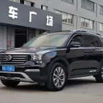 GAC Motor Trumpchi GS8 2020 201 л.с. 201 л.с. из Китая