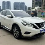 Nissan Murano 2016 245 л.с. из Китая