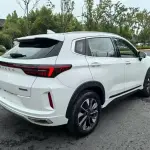 Exeed Zhaofeng C-DM 2023 из Китая