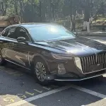 Hongqi Hongqi H5 2023 из Китая