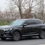 Hongqi Hongqi HS5 2023 из Китая