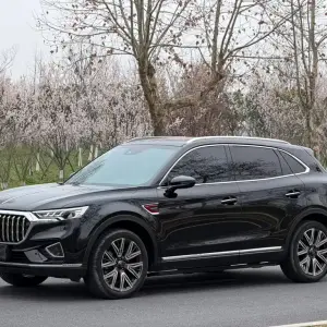 Hongqi Hongqi HS5 2023 из Китая