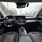 Hongqi Hongqi HS5 2023 из Китая