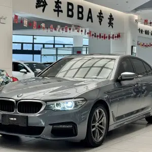BMW 5 Series (Import) 2019 из Китая