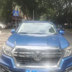 Dongfeng Rich 2019 из Китая