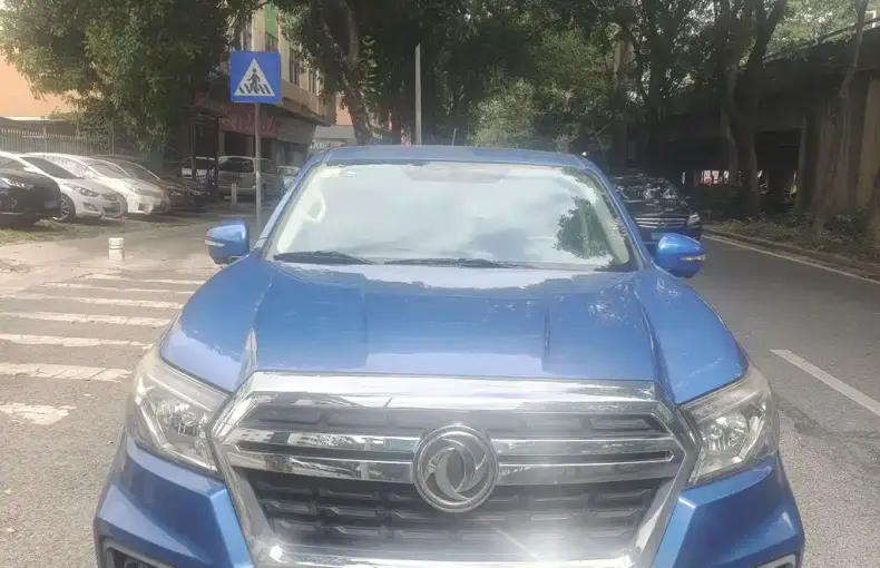 Dongfeng Rich 2019 из Китая