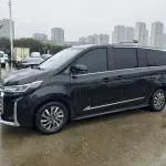 大通 G20 2021 из Китая