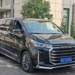 大通 G20 2022 из Китая