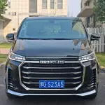 大通 G20 2022 из Китая
