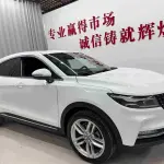 Fengguang Fengguang ix5 2019 из Китая