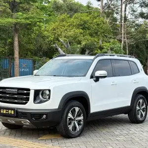 Haval Big Dog 2022 из Китая