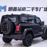Tank Tank 300 2021 из Китая