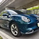 Ora Ora Good Cat 2024 из Китая