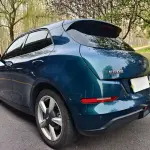 Ora Ora Good Cat 2024 из Китая