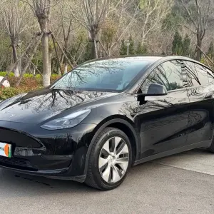 Tesla Model Y 2021 из Китая