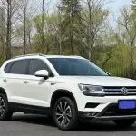 Volkswagen Tharu 2020 из Китая