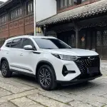 Chery Tiggo 8 PRO 2024 из Китая