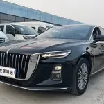 Hongqi Hongqi H5 2023 из Китая