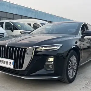 Hongqi Hongqi H5 2023 из Китая
