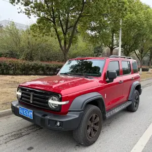 Tank Tank 300 2021 из Китая
