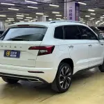 Skoda Karoq 2022 из Китая