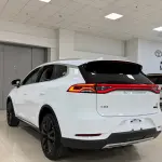 BYD Tang 2018 из Китая