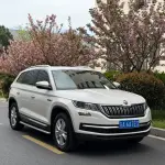 Skoda Kodiaq 2018 из Китая