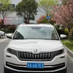 Skoda Kodiaq 2018 из Китая
