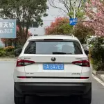 Skoda Kodiaq 2018 из Китая