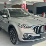 Hongqi Hongqi HS5 2021 из Китая