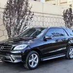 Mercedes-Benz M-Class 2015 из Китая