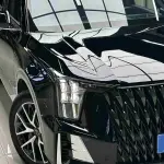 GAC Motor Trumpchi GS8 2022 из Китая