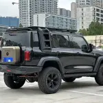 Tank Tank 300 2022 из Китая