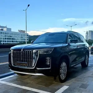 Hongqi 红旗金葵花国耀 2024 из Китая